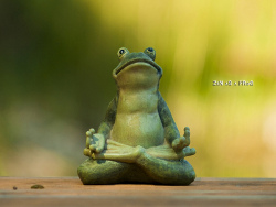 /images/zen_as_a_frog.jpg